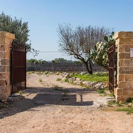 Diamante * Corsano (Apulia)